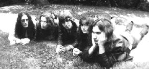 Fieldofweeds